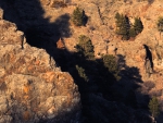 Trees in a canyon