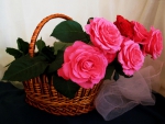 Flower Basket