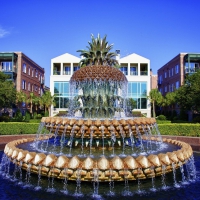 Pineapple Fountain