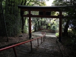 Temple Torii