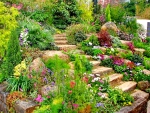 Beautiful rock garden