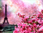 Paris spring in pink
