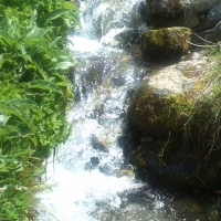 river good time... ... besh