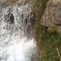 waterfall time...   ...    besh