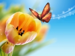 Butterfly Tulip