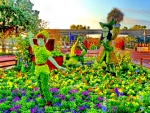 Spring flowers in Disney-California
