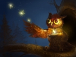 Magical Night of the Owl