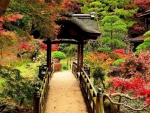 Japanese Garden
