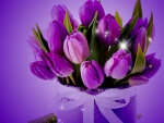 Purple tulips