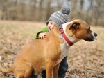 Boy and dog