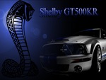Shelby GT500KR