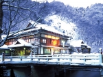 Winter House