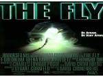 The Fly