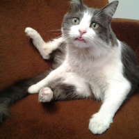 Sweetie Strikes Again