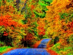 Autumn Splendor