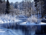 Winter Lake