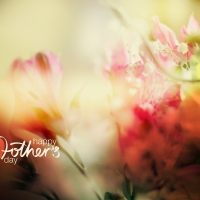 Mother's Day Wallpaper