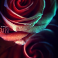 Mother's Day Wallpaper