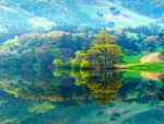 Spring Reflections, Seosan, South Korea