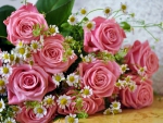 Pink Roses