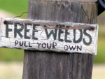 Free weeds