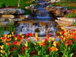 Waterfalls and Tulips