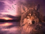 Wolf Spirit