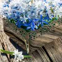 â™¥Spring Flowersâ™¥