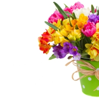 â™¥Spring Flowersâ™¥