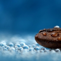 Water droplets grains Close Up Macro of coffee