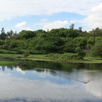 Chengcing Lake Taiwan Kaohsiung