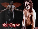 The Crow