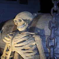 Halloween Skeleton