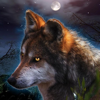 Moonlight Wolf