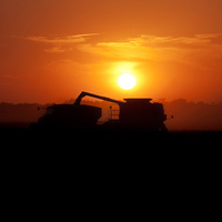 Harvest Sunset
