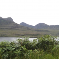 A Loch, some hills, and vibrant plants