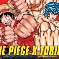 One Piece Toriko