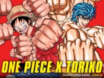 One Piece Toriko