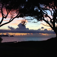 coromandel sunset