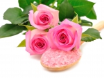 â™¥Spa Rosesâ™¥
