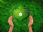 Green Love for~Nature Protection~