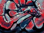 Abstract Spider Ball Python