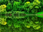 Green mirror of nature