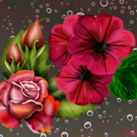 FLOWERS AND RAINDROPS