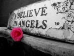 I believe in angels