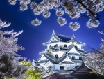 Hikone Castle