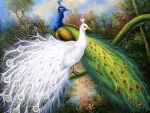 Peacock and Peahen