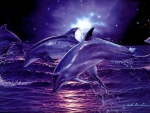 Dolphins