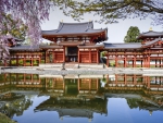 Byodo-in Temple