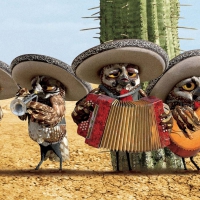 Yelping mariachi owls (RANGO)